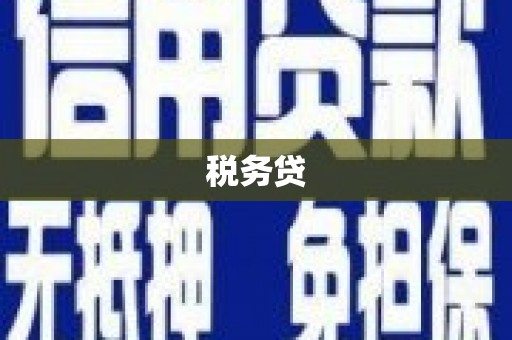 通化税务贷