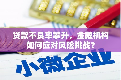通化贷款不良率攀升，金融机构如何应对风险挑战？
