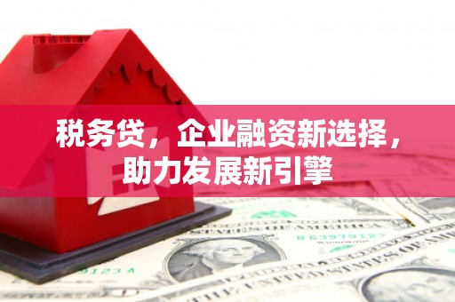 通化税务贷，企业融资新选择，助力发展新引擎