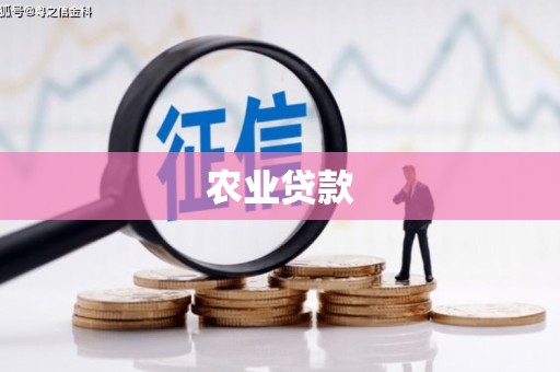 通化农业贷款