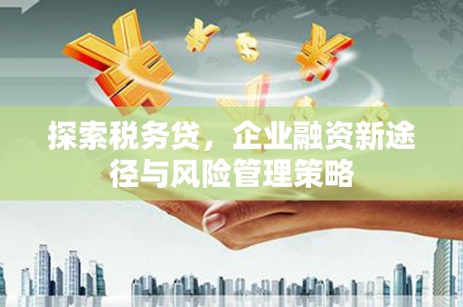 通化探索税务贷，企业融资新途径与风险管理策略