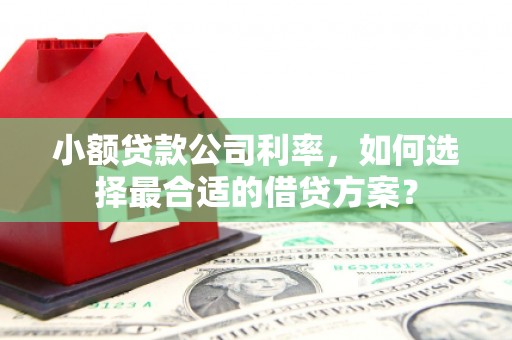 通化小额贷款公司利率，如何选择最合适的借贷方案？